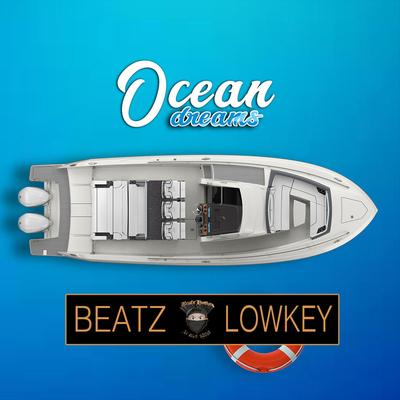 Beatz Lowkey's cover