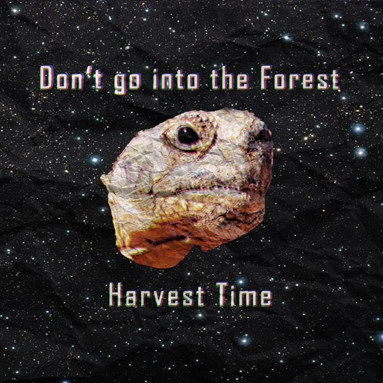 Don't Go into the Forest's avatar image