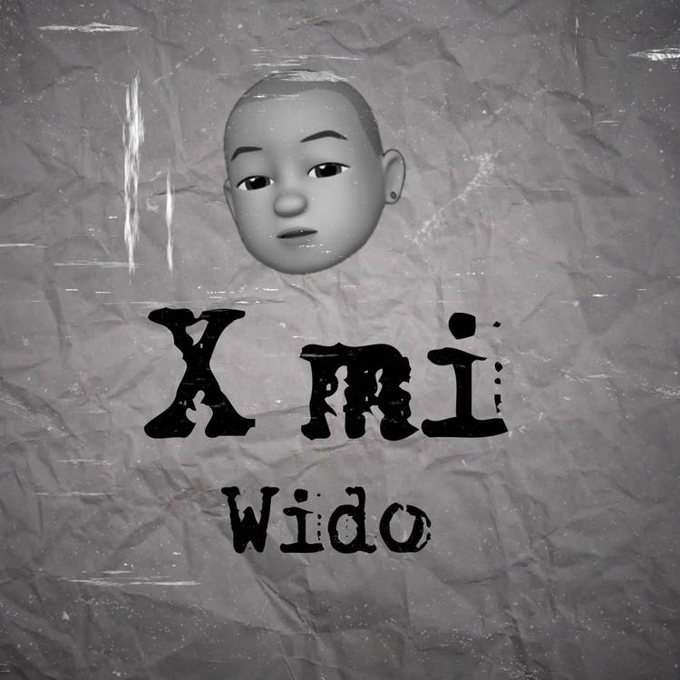 Wido Music's avatar image