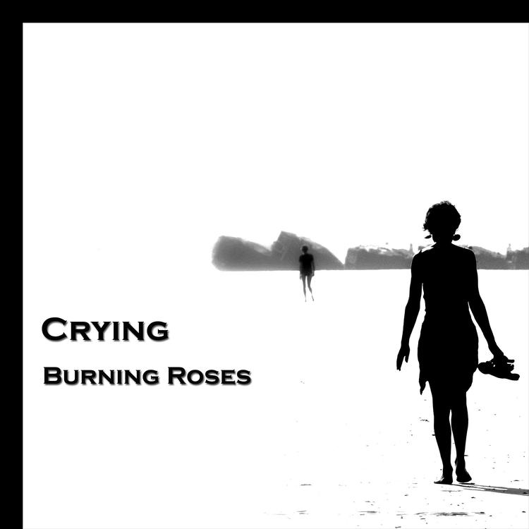 Burning Roses's avatar image