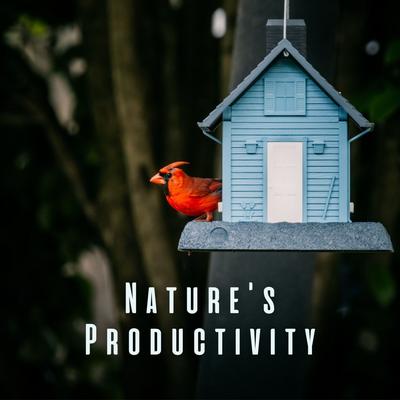 Zen Work Station By Nature Of Sweden, Birds In The Morning, Work Music Bliss's cover