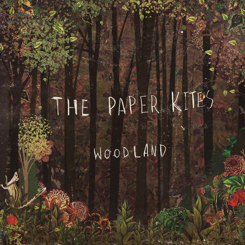 #thepaperkites's cover