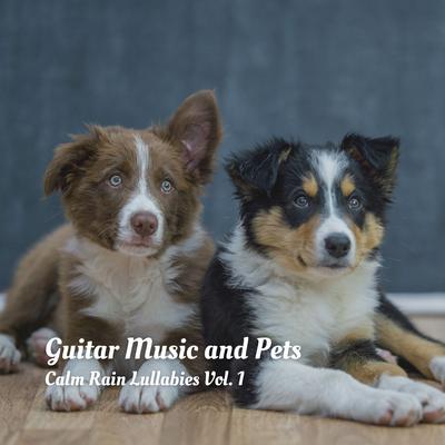 Guitar Music and Pets: Calm Rain Lullabies Vol. 1's cover