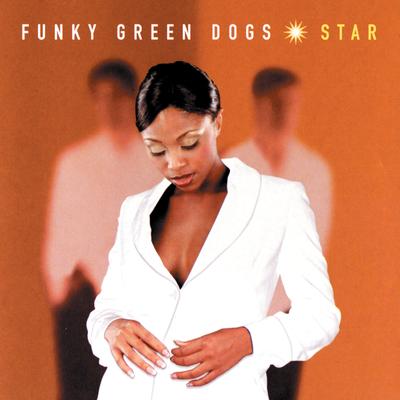 Funky Green Dogs's cover