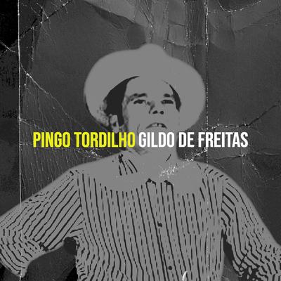 Pingo Tordilho By Gildo de Freitas's cover