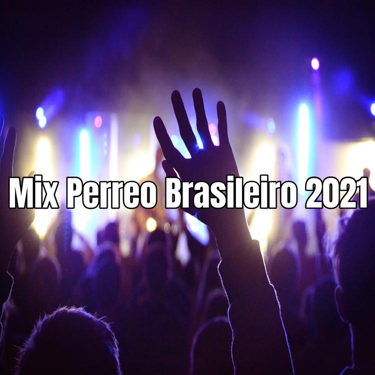 Dj Perreo Mix Brasileiro's avatar image