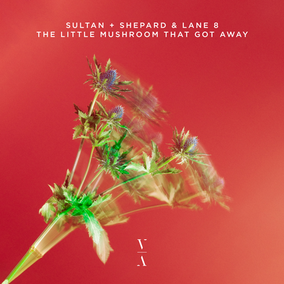 The Little Mushroom That Got Away By Lane 8, Sultan + Shepard's cover