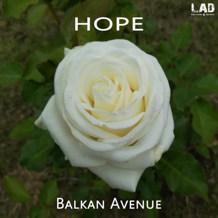 Balkan Avenue's avatar image