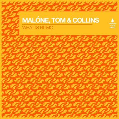 What Is Ritmo By Malone, Tom & Collins's cover