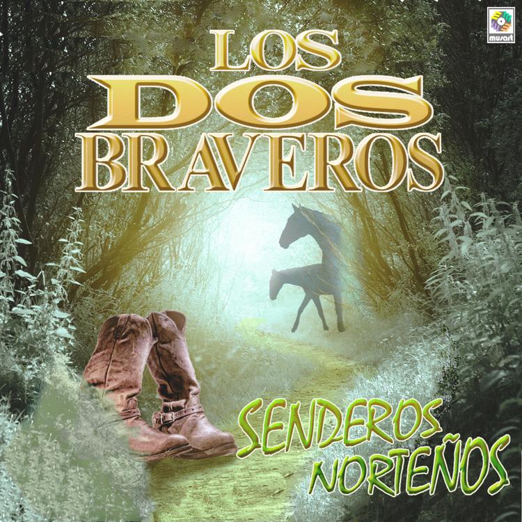 Los Dos Braveros's avatar image