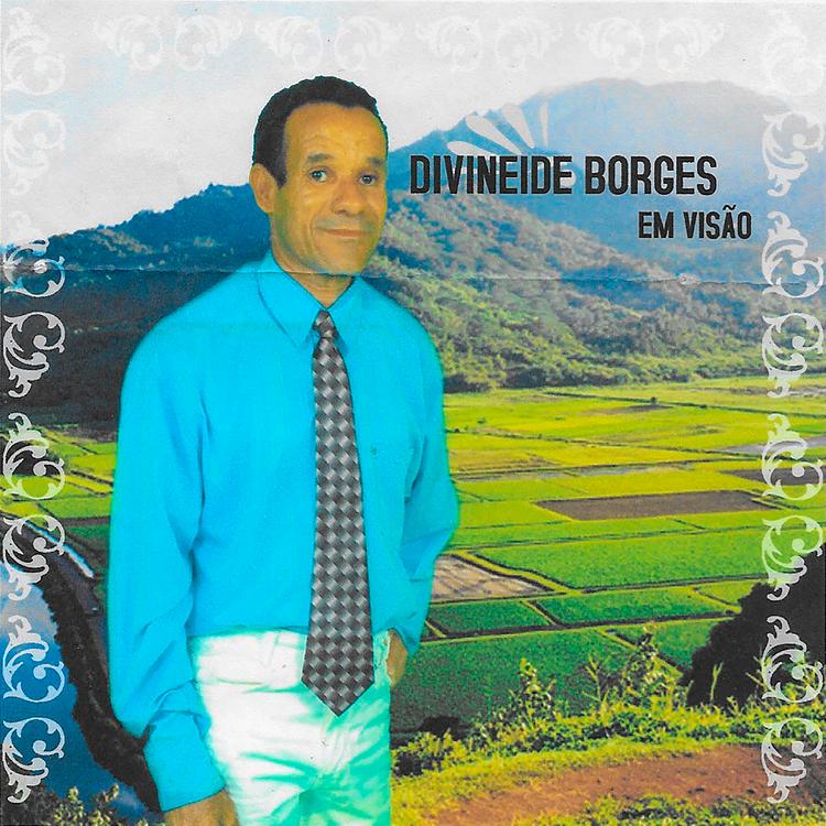 Divineide Borges's avatar image