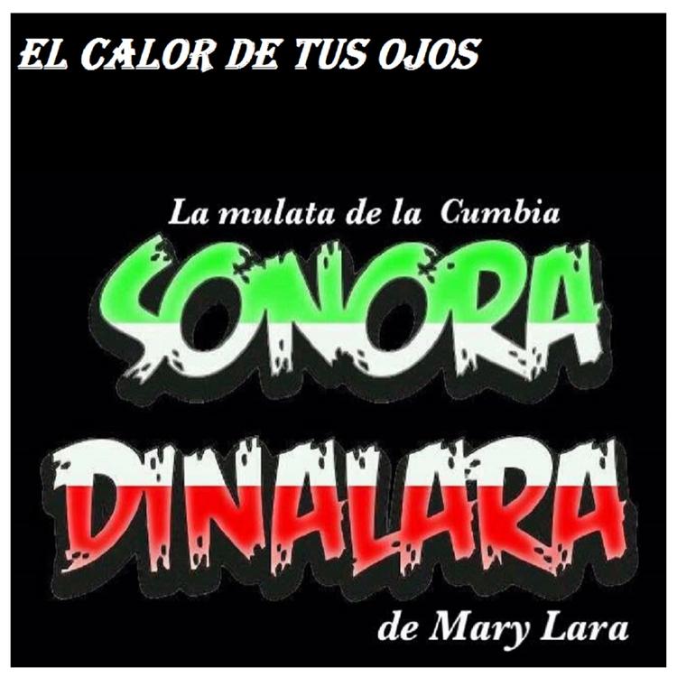 Sonora Dinalara's avatar image