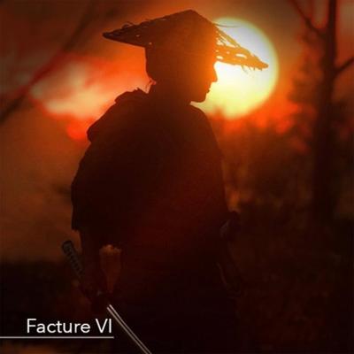 Facture VI's cover