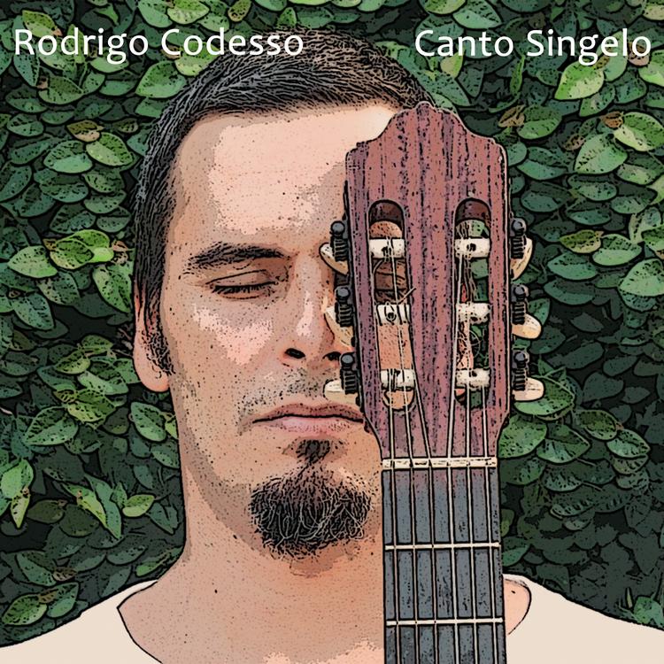 Rodrigo Codesso's avatar image