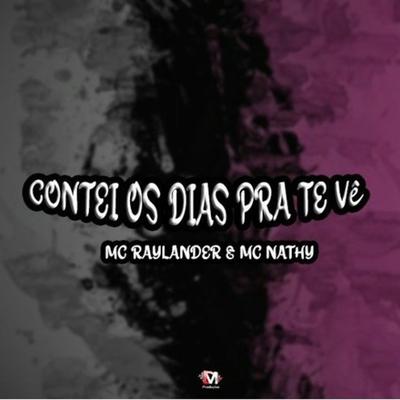 Contei os Dias pra Te Ver's cover