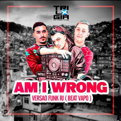 AM I WRONG VS FUNK RJ By Dj LK da Escócia, DJ Breno, DJ Pedrin's cover