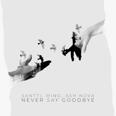 Never Say Goodbye By Santti's cover