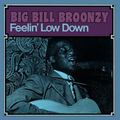 Mean Old World By Big Bill Broonzy's cover