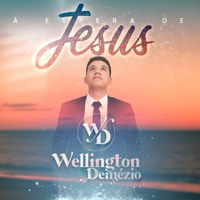 A Espera de Jesus By Wellington Demézio's cover