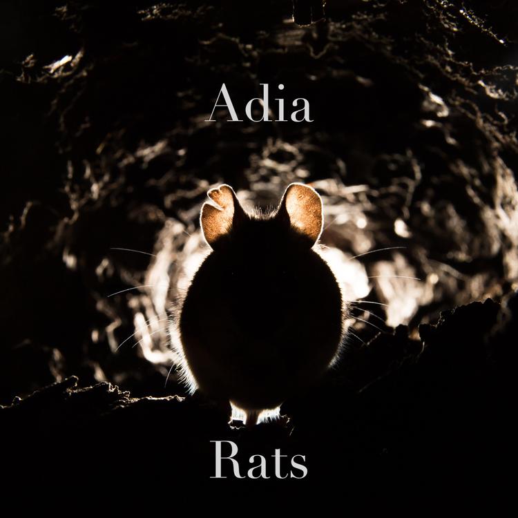 Adia's avatar image