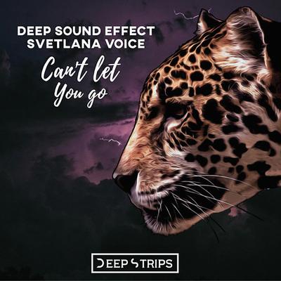 Can't Let You Go By Deep Sound Effect, Svetlana Voice's cover