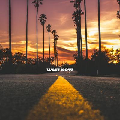 Wait Now By Justin Mercurio, Camila Paiva's cover
