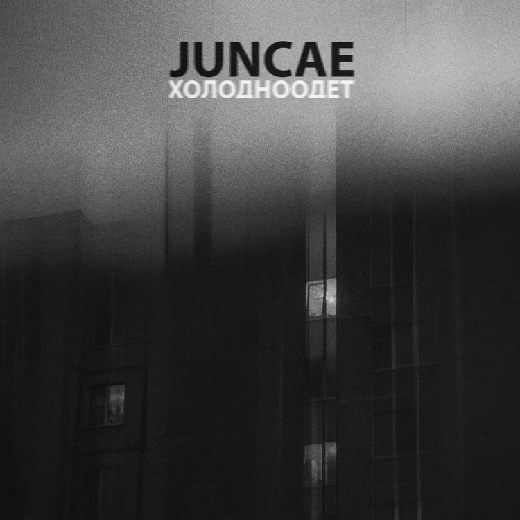 Juncae's avatar image