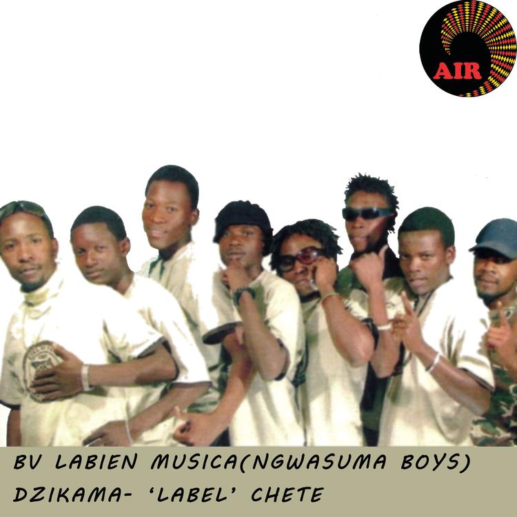 BV Labien Musica (Ngwasuma Boys)'s avatar image