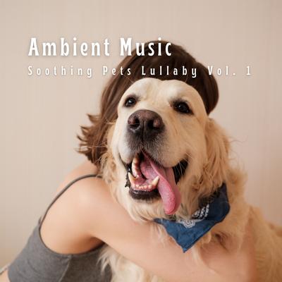 Dense Ambient Music for Meditation's cover