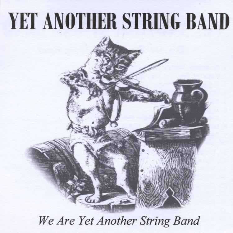 Yet Another String Band's avatar image