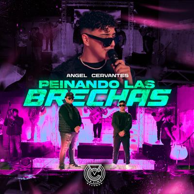 Peinando las Brechas (En Vivo)'s cover