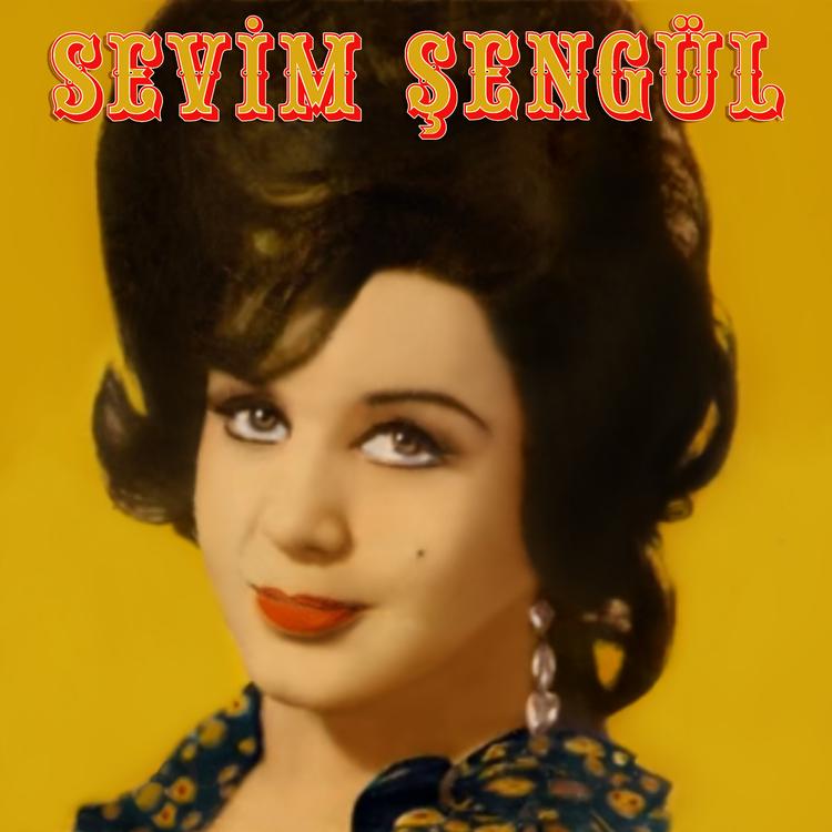 Sevim Şengül's avatar image