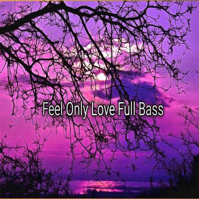 Feel Only Love Full Bass's cover