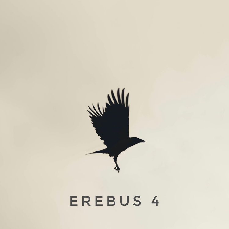 Erebus's avatar image