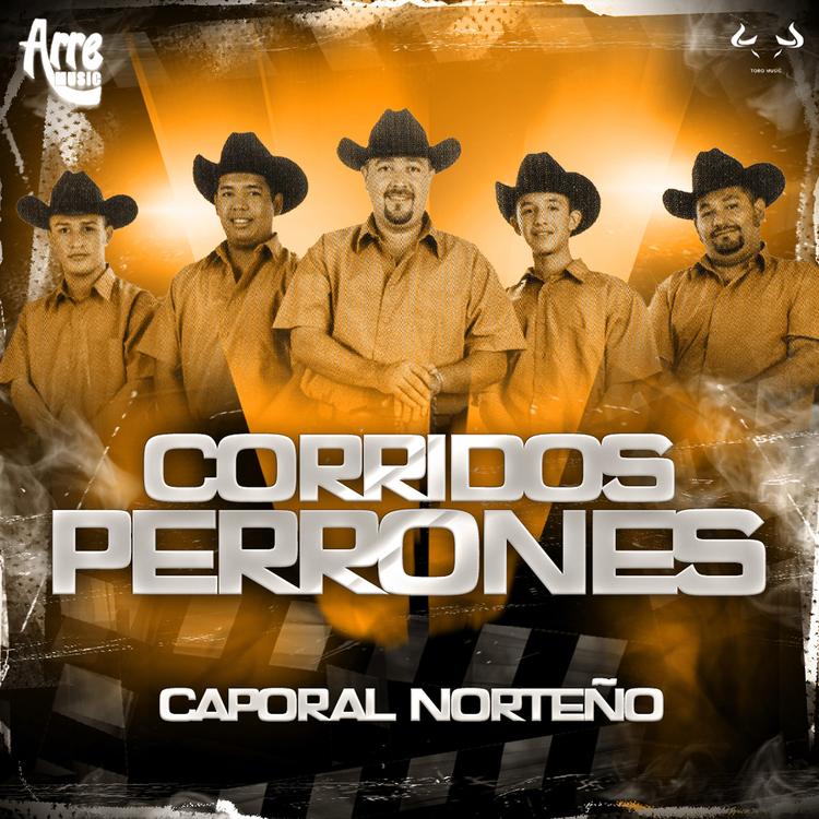 Caporal Norteño's avatar image