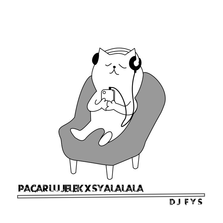 DJ FYS's avatar image