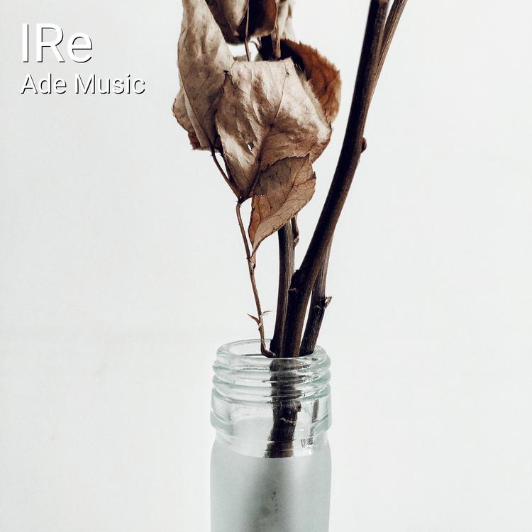 Ade Music's avatar image