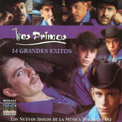 Ritmo Duranguense's cover