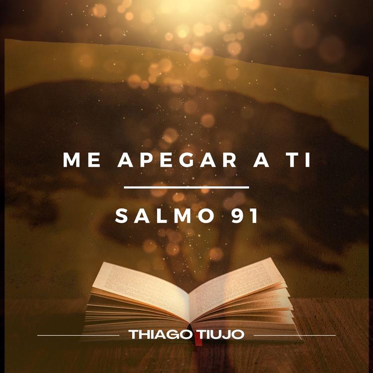 Thiago Tiujo's avatar image