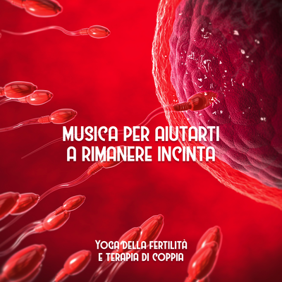 Musica per aiutarti a rimanere incinta's cover