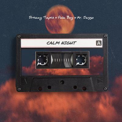 Calm Night By Dreamy Tapes, Palm Boy, Mr. Jazzo's cover