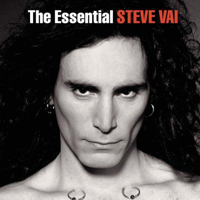 Tender Surrender By Steve Vai's cover