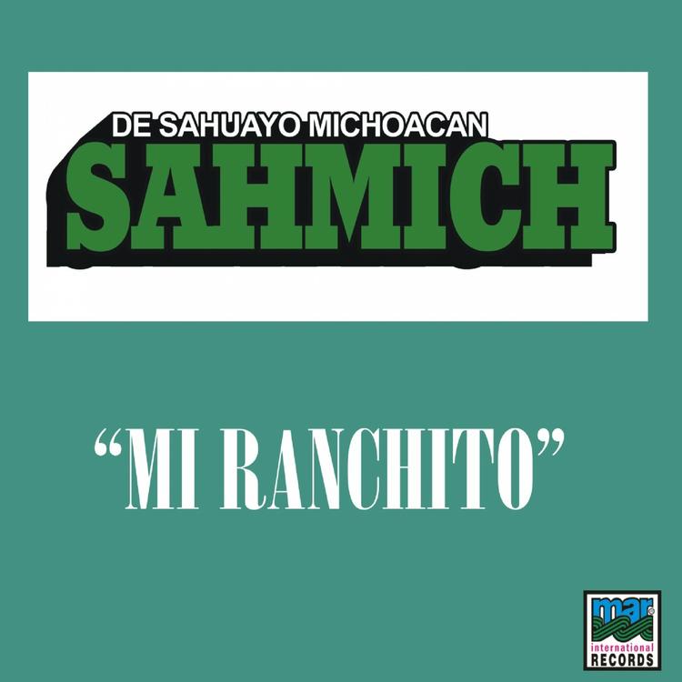 Grupo Sahmich's avatar image