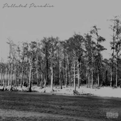 Polluted Paradise By Chetta, $uicideboy$'s cover