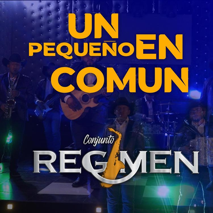 Conjunto Régimen's avatar image