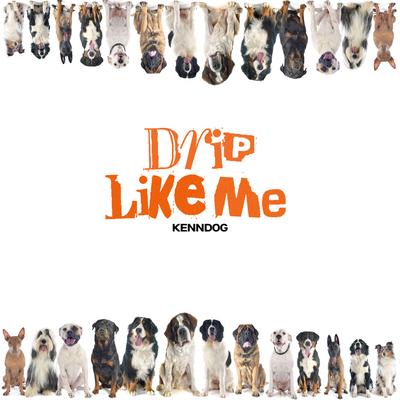 Drip Like ME's cover