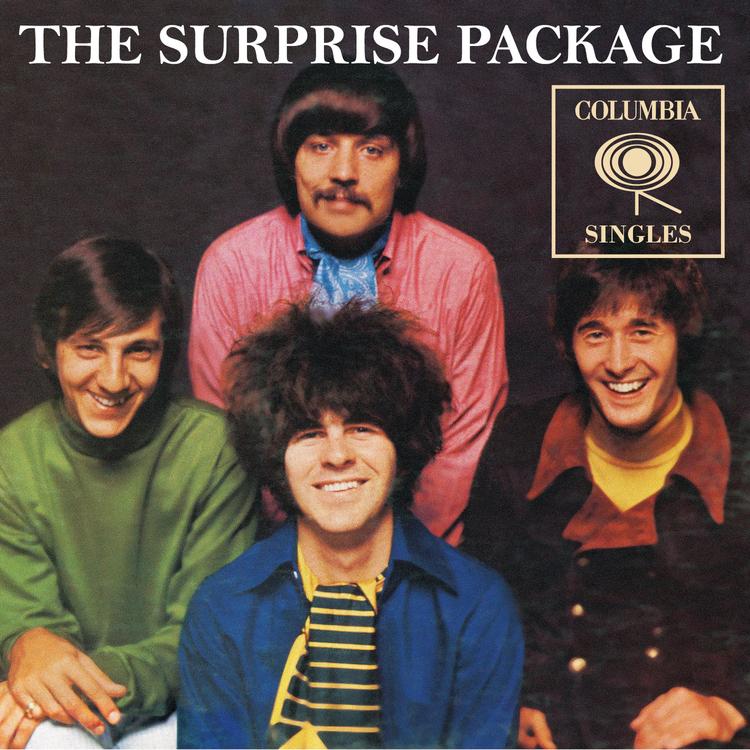 The Surprise Package's avatar image