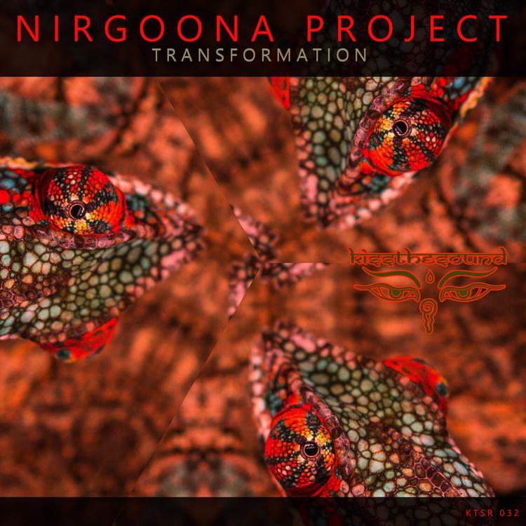 Nirgoona Project's avatar image