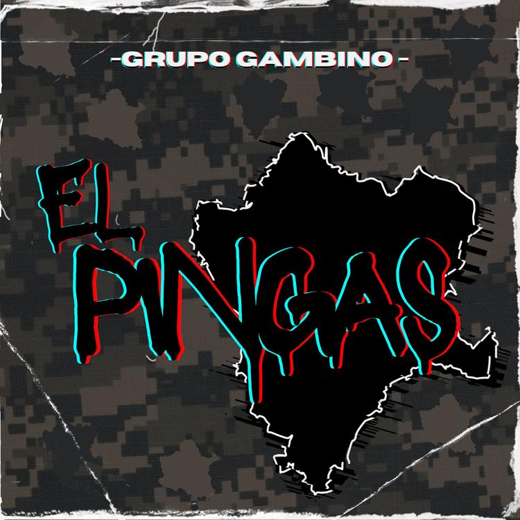 Grupo Gambino's avatar image