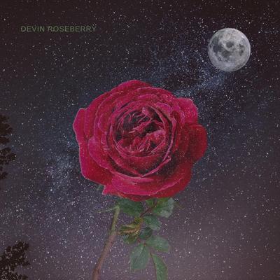 Love and Lost By Devin Roseberry's cover